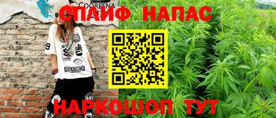 стаф Кулебаки