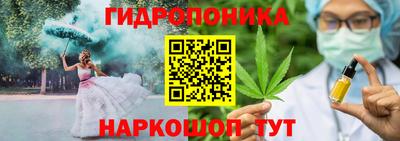 стаф Кулебаки