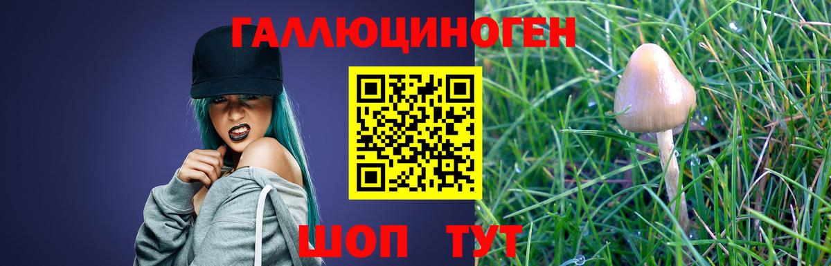 Галлюциногенные грибы мухоморы  Галлюциногенные грибы Cubensis  Еманжелинск  Вход с VPN 