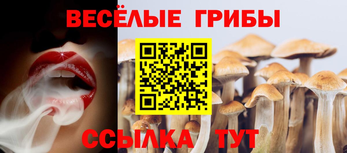 Галлюциногенные грибы Psilocybe Еманжелинск
